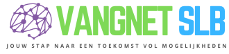 Vangnet SLB